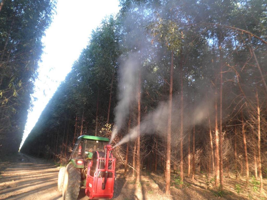 Controle de lagartas desfolhadoras Número de lagartas para cada 100 folhas na porção mediana da copa de 5 plantas.