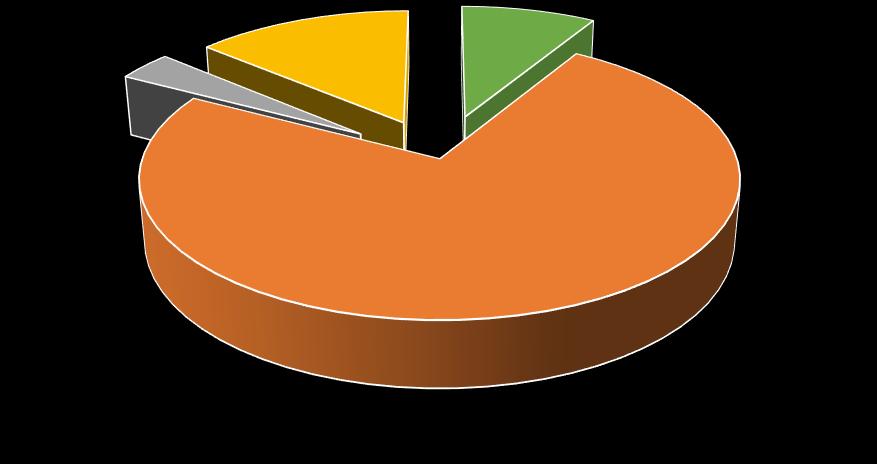 3.6 Caso não, o que fará?