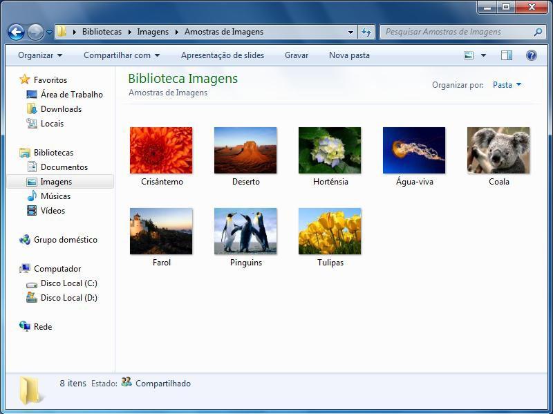 LIVE ICONS (MODOS DE EXIBIÇÃO) Os ícones ao vivo no Windows 7 são um grande melhoramento em relação aos ícones tradicionais.