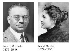 Cinética enzimática Em 1913, Michaelis e