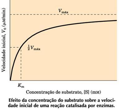 Cinética enzimática Experimentos de mutagênese sítiodirigida permite que os pesquisadores investiguem o papel de cada aminoácido na função protéica A concentração do substrato [S]