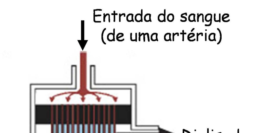 Processos de Engenharia Química e Biológica Capítulo 1 PROBLEMAS PROPOSTOS PROBLEMA 1.