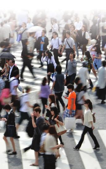 34 SOCIOLOGIA Percursos da licenciatura Demografia e Sociologia da População Metodologia Sociologia do Conhecimento e da Cultura Sociologia do Território e do Ambiente Sociologia Económica e das