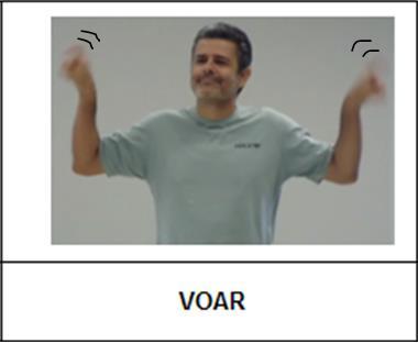 Nos exemplos seguintes não há nenhuma marcação de ideias positivas ou negativas, essas são as expressões neutras (figura 49).