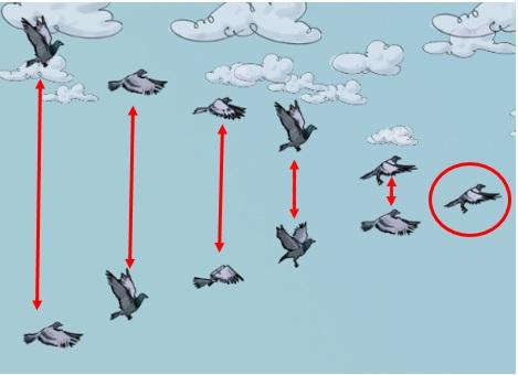 Naturalmente, as aves também podem ser movidas para criar esses pares mais claramente, ou para dividir as aves em dois ou mais grupos.