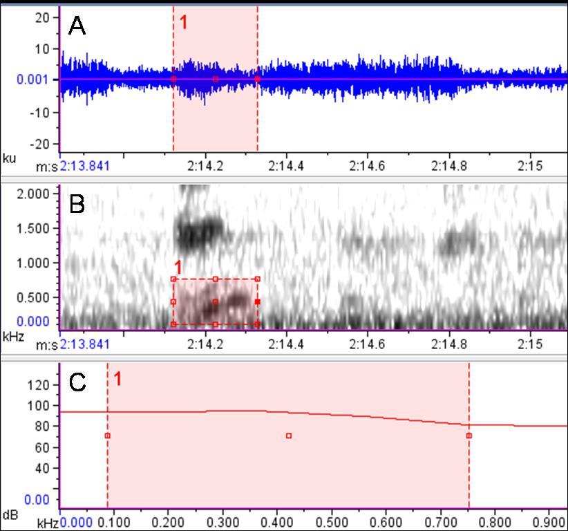 em Ubatuba, ocorrida em janeiro de 2011. Temperatura do ar = 25.