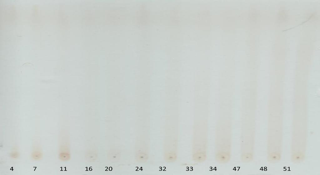 39 Figura 16: CCD das frações 1 a 51.