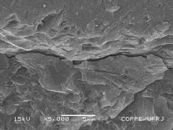 Figura 115 Detalhamento da imagem anterior (5000x). Ocorre a propagação da trinca paralelamente à interface revelando trajeto de fratura tanto transgranular quanto intergranular.