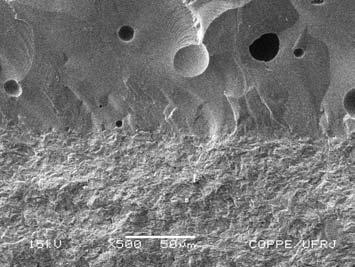 O material de subestrutura revelou uma rede de cristais aciculares, com tamanho médio de 8 µm de comprimento, imersos numa matriz vítrea, onde o modo de propagação da trinca se deu tanto de maneira