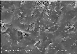 Figura 3 - Fotomicrografia do IPS Empress 2 demonstrando a presença de cristais de orto-fosfato de lítio.