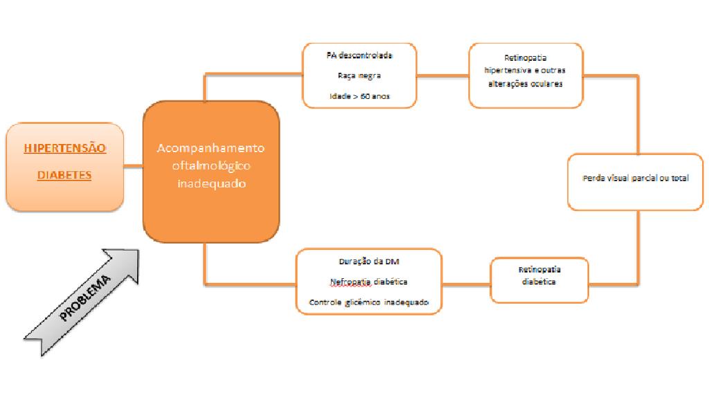 FIGURA 2 - Explicação do problema selecionado VI.