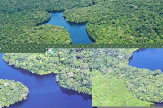 Curiosidades Juntos, os biomas da Amazônia e da Mata Atlântica ocupam 100% de oito estados brasileiros. O Bioma Amazônia e o Bioma Pantanal ocupam juntos mais de metade do Brasil.