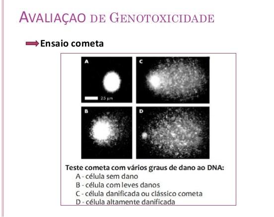 Biomarcadores moleculares de suscetibilidade O homem esta exposto a mais de 70.000 compostos químicos diferentes incluindo drogas, aditivos alimentares, herbicidas, pesticidas e agentes industriais.