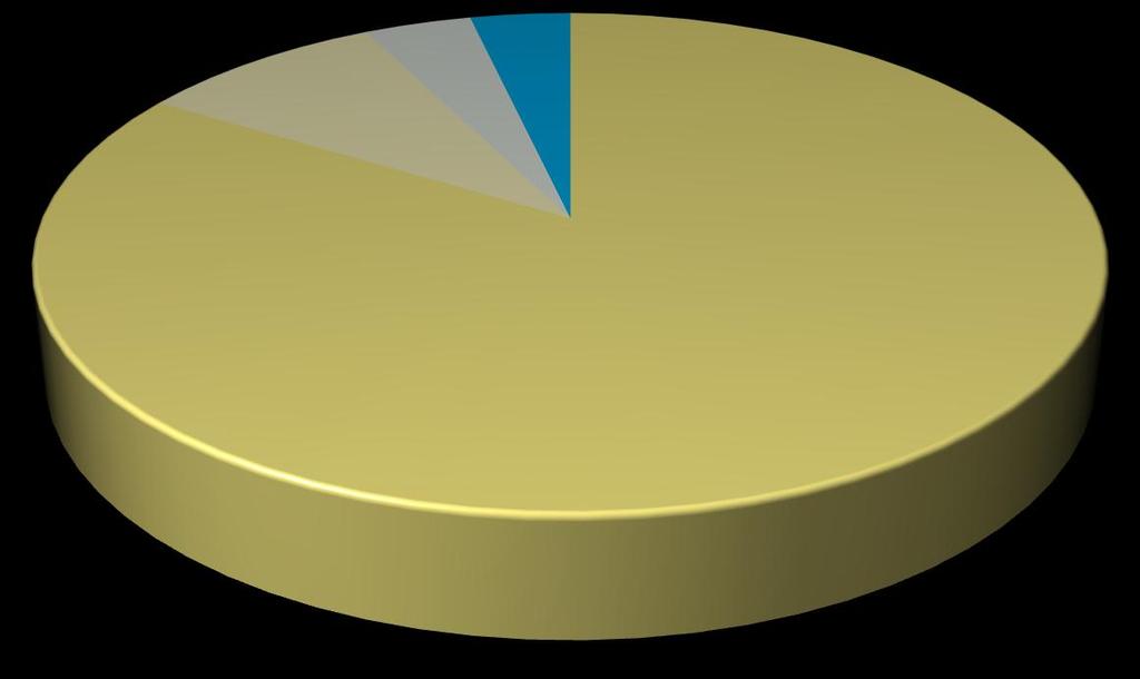 Dia; 42 508,28 Apoio Domiciliário; 25 025,74 Outros; 17 652,92 Lar