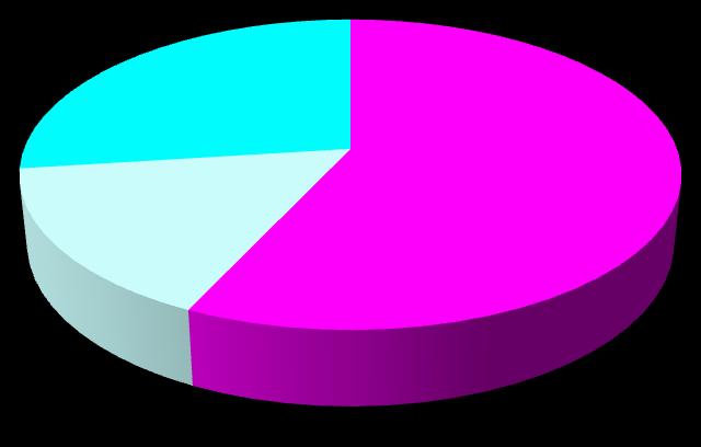 Associação de Solidariedade Social da Gafanha do Carmo - Ano de 2016 Centro Comunitário Rendimentos