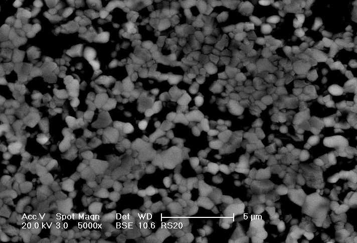 Micrografias MEV, obtidas com elétrons