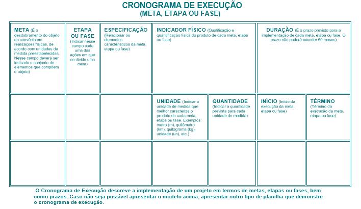 6 - PLANO DE APLICAÇÃO DOS RECURSOS FINANCEIROS (O plano de aplicação refere-se ao desdobramento da dotação (verba) nos elementos previstos.