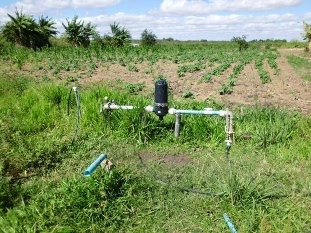 100 Figura 14 - Solo úmido denunciando o vazamento de água no lote do agricultor 14 Fonte: foto do autor, 2012.