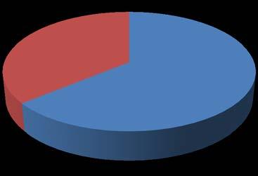 Quanto ao tipo de cultura produzida, grande parte dos agricultores irrigantes familiares entrevistados cultivam acerola (38%), seguida de banana (31%) e coco (19%).