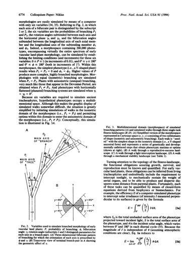 f L.. ^ ^ ^ \ [ J h '_, ' Stat r 'D i <-.},1, r \ trx \S A' i... _' -4, C i: i ur I.,_ At i it I. Hi Muitas demandas conflitantes A.NNA.i -F;.;i...Xw52.n.;'S x 't SW.. / Am'.