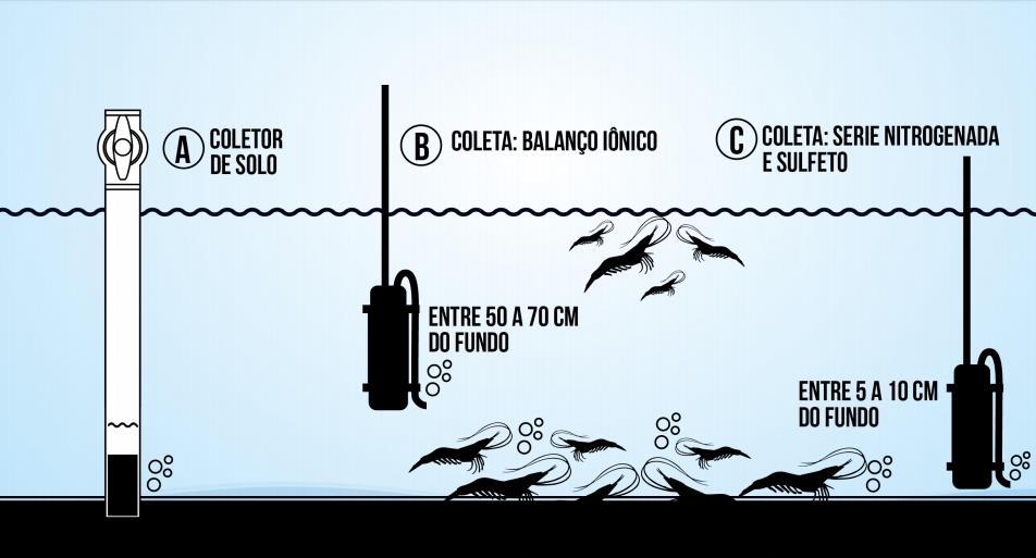 As análises rotineiras de água em cultivos, como oxigênio dissolvido, ph, temperatura, transparência, amônia, nitrito, nitrato já são de domínio em muitas fazendas por serem mais simples e uma