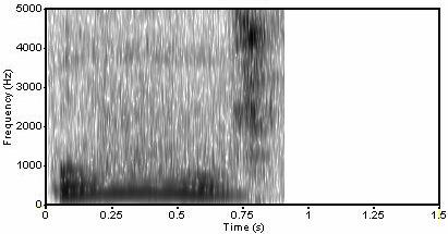 influencia <14 Animais Aves média contínuo/desc ontínuo, amplitude constante pássaro > 2Hz, pato >1Hz, galo >5Hz L (o)b (o)v (l)a NVZ GR 2 e GR 3 [p], [p],[k], [k], [ɾ], [ȓ],[i]