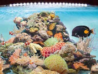 para aquários de água doce LED marine blue