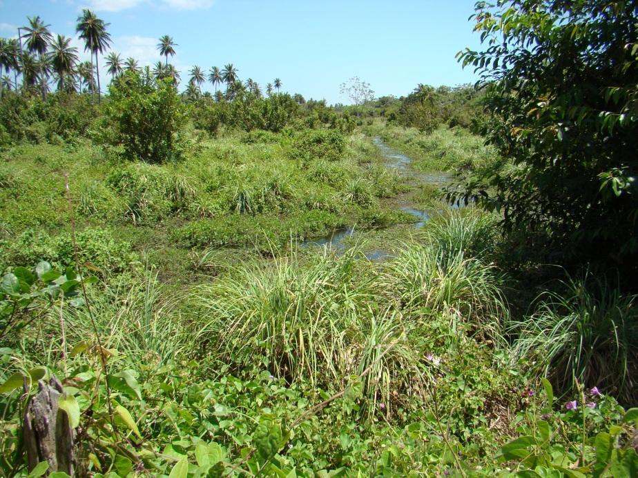 dos grupos de cultivadores pré-históricos que habitou o litoral nordestino no período proto-histórico. Ali estão registrados muitos dos sítios de ocupação de grupos da Tradição Tupiguarani.