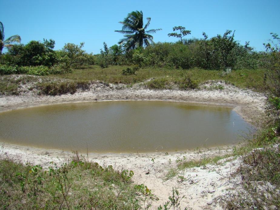 Planície lacustre O representante expressivo mais próximo à ADA corresponde à planície lacustre da Lagoa do Bolso, na área a que apresenta o maior espelho.