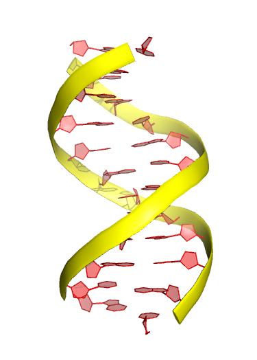 Pureza Proteínas, lipídeos, outro DNA, reagentes da extração, etc