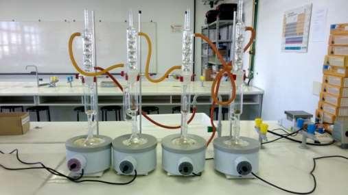 19 Amostras foram submetidas a refluxo em acetona (Figura 6) para extração de óleos por 12 horas e em seguida submersas em n-heptano, ao abrigo da luz, à temperatura ambiente, por 24 h.