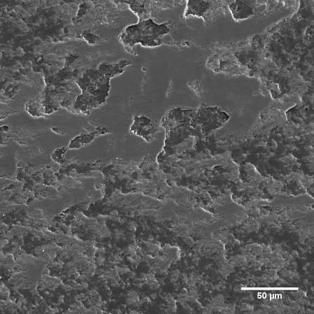 (a) (b) Figura 6: Micrografias de FEG mostrando detalhes das trilhas de desgaste das amostras de alumina, obtidas nos ensaios