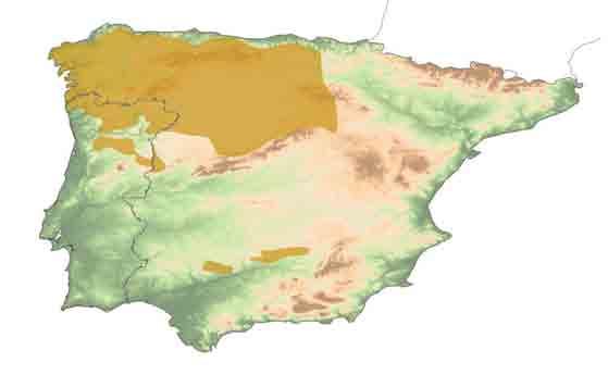 Prejuízos de lobo na pecuária (% valor de indemnização) Bovino Ovino Equino Caprino Peneda-Gerês (2012) (Pimenta/ICNF, unpub. data) 6% 9% 20% Alvão (2012) (Pimenta/ICNF, unpub.