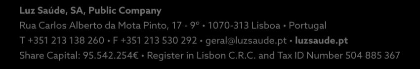 SGHL Sociedade Gestora do Hospital de Loures, S.A. (Director) CRB Clube Residencial da Boavista, S.A. (Director) Luz Saúde Serviços, ACE (Director) Cliria Hospital Privado de Aveiro, S.A. (Director) Luz Saúde Unidades de Saúde e de Apoio à Terceira Idade, S.