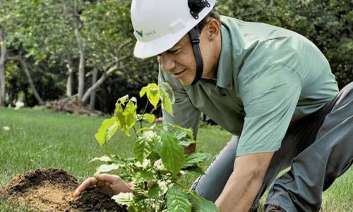 Ambiental