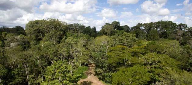 Reserva Natural Vale No Espírito Santo, a empresa mantém a Reserva Natural Vale, uma área de cerca de 218 Km 2, onde são protegidas 2.