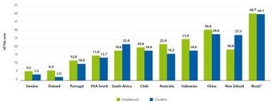 Brasil se destaca na produtividade de florestas Produtividade de