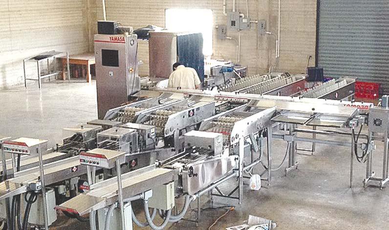 Novas máquinas da marca foram entregues recentemente na Cooperativa Country Foods e nas avícolas La Barranca e Victoria 3 EM