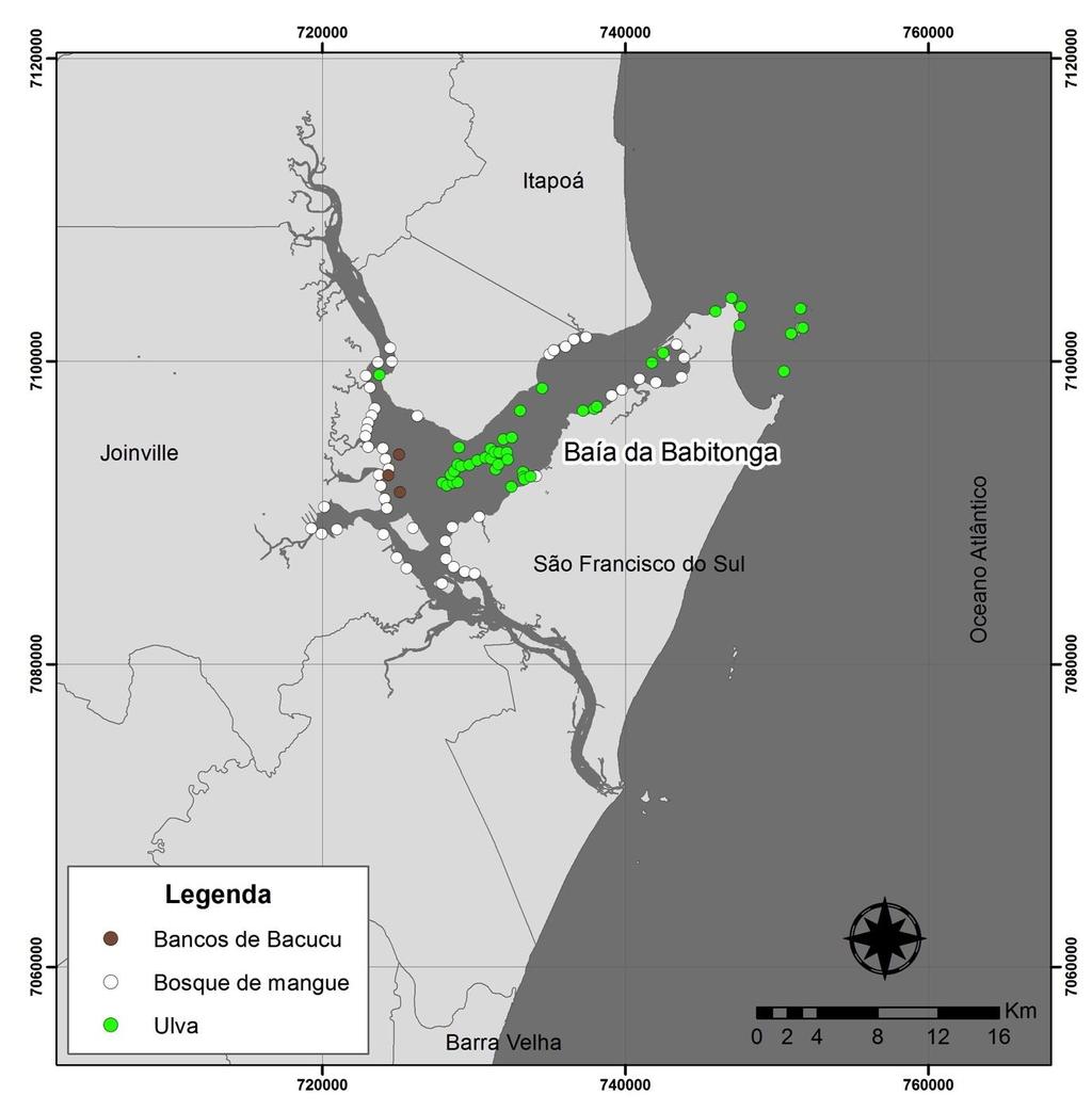 Boodleopsis Bosque de mangue Ulva Figura 4: Mapa da área estudada contendo as indicações dos pontos de ocorrência de três itens alimentares registrados nos tratos digestórios dos exemplares