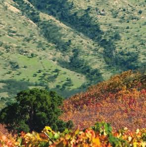 Uma caminhonete movida a biodiesel (combustível menos poluente) leva os