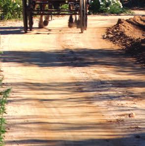 tração animal para levar os visitantes no passeio pelos vinhedos de San