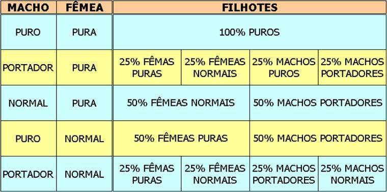 TABELAS PRÁTICAS DE