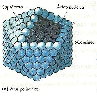 diferentes setores