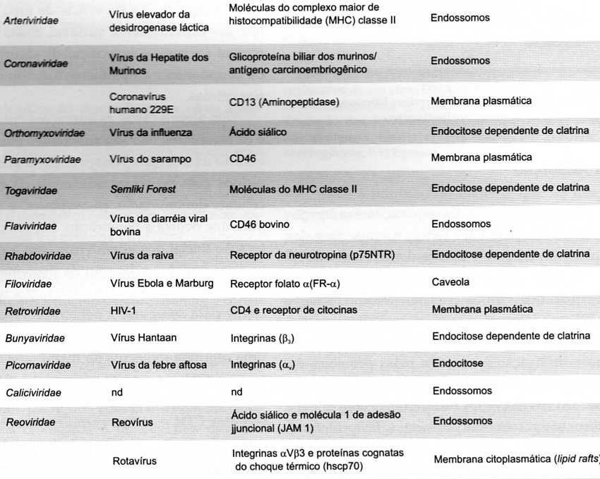Adsorção Tabela 3 Receptores celulares e mecanismos de penetração dos