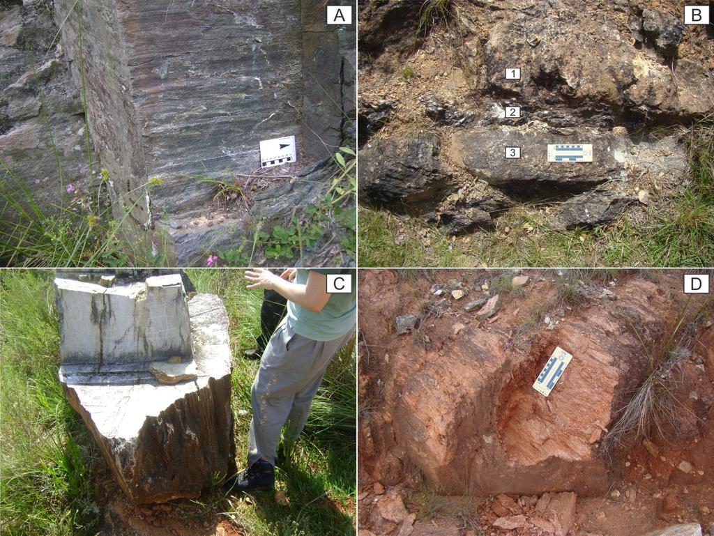 Pesquisas em Geociências, 41 (1): 25-38, jan./abr. 2014 As rochas metaultramáficas são representadas por serpentinitos, talco xistos, esteatitos, tremolititos e clorititos.