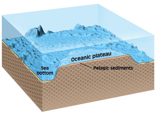 Os plateaus oceânicos estão geralmente cobertos por uma fina camada de sedimentos