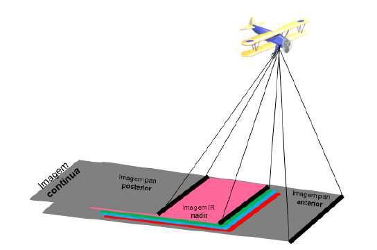 Câmara de varredura Arranjo linear O sensor digital linear da