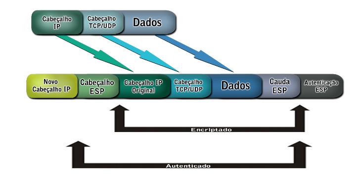 Protocolo ESP IP Encapsulating Security Payload: Fornece criptografia dos dados transmitidos, entretanto o cabeçalho IP não é criptografado.