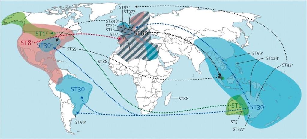 10 Tabela 2: Locais de isolamento do CA-MRSA, obtidos a partir de estudos epidemiológicos. PAÍSES Carolina do Norte LOCAL Centro de cuidados terciários Fonte: Adaptado de Roca, 2013.