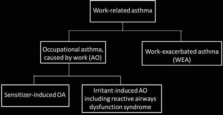 SDRVA Ausência de doença respiratória prévia Início de sintomas após exposição única Agente irritante em altas concentrações (gás,